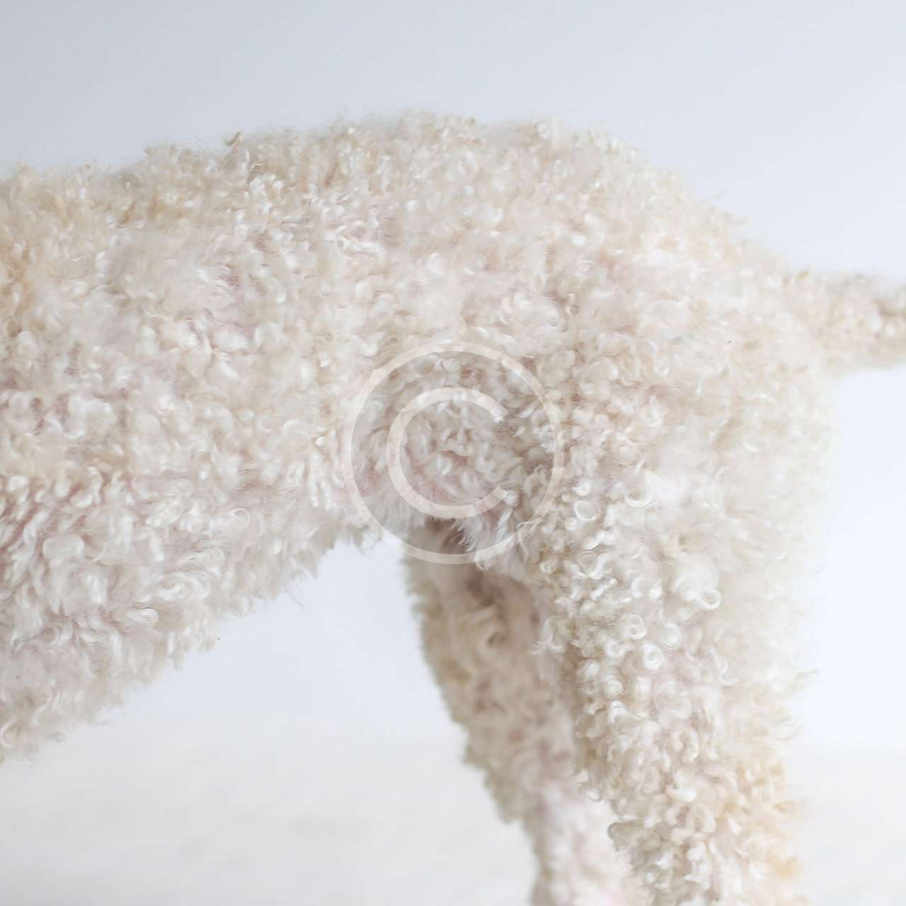 image-copyright (53)