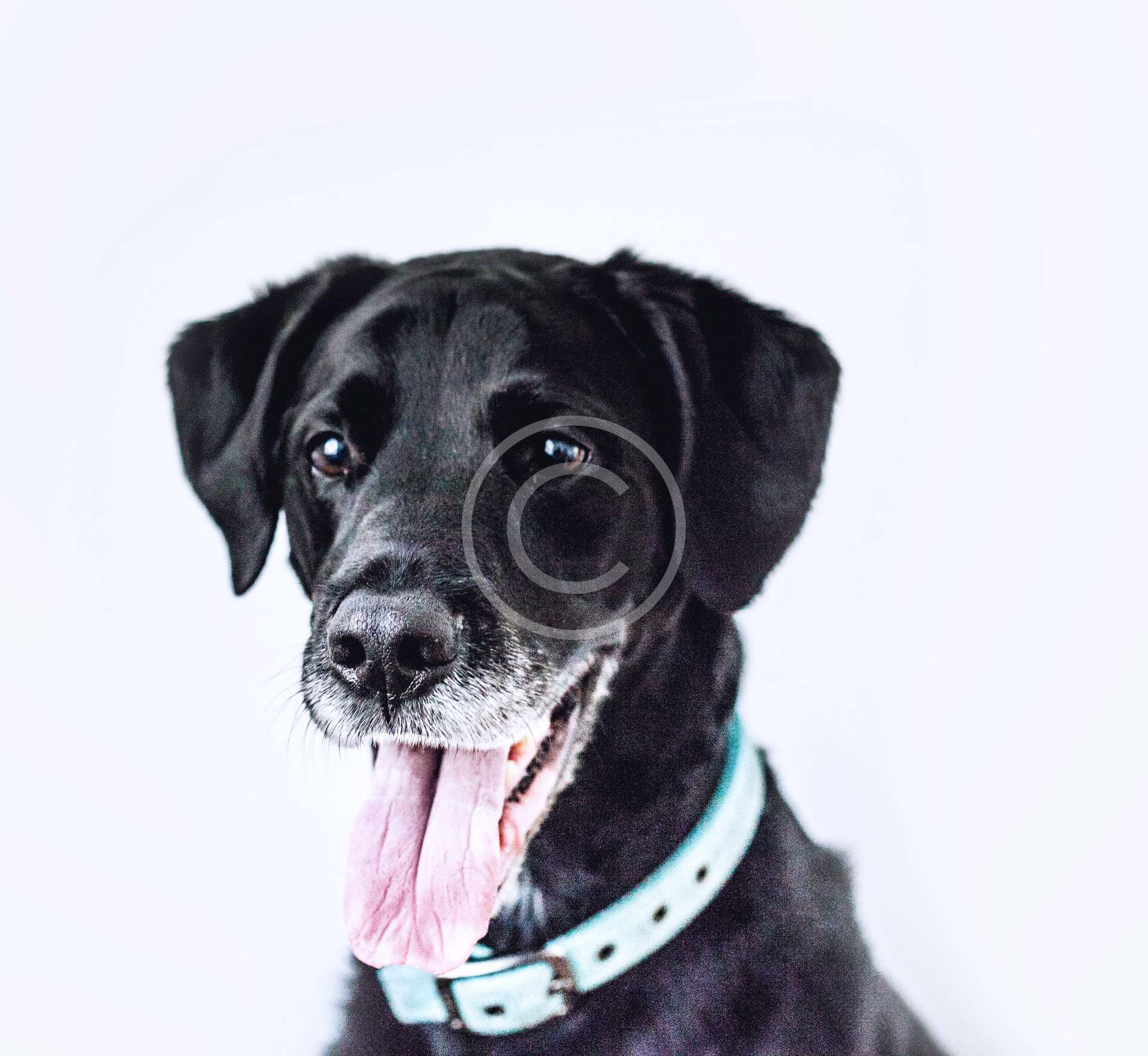 ken-reid-Cnrxu_Za30M-unsplash