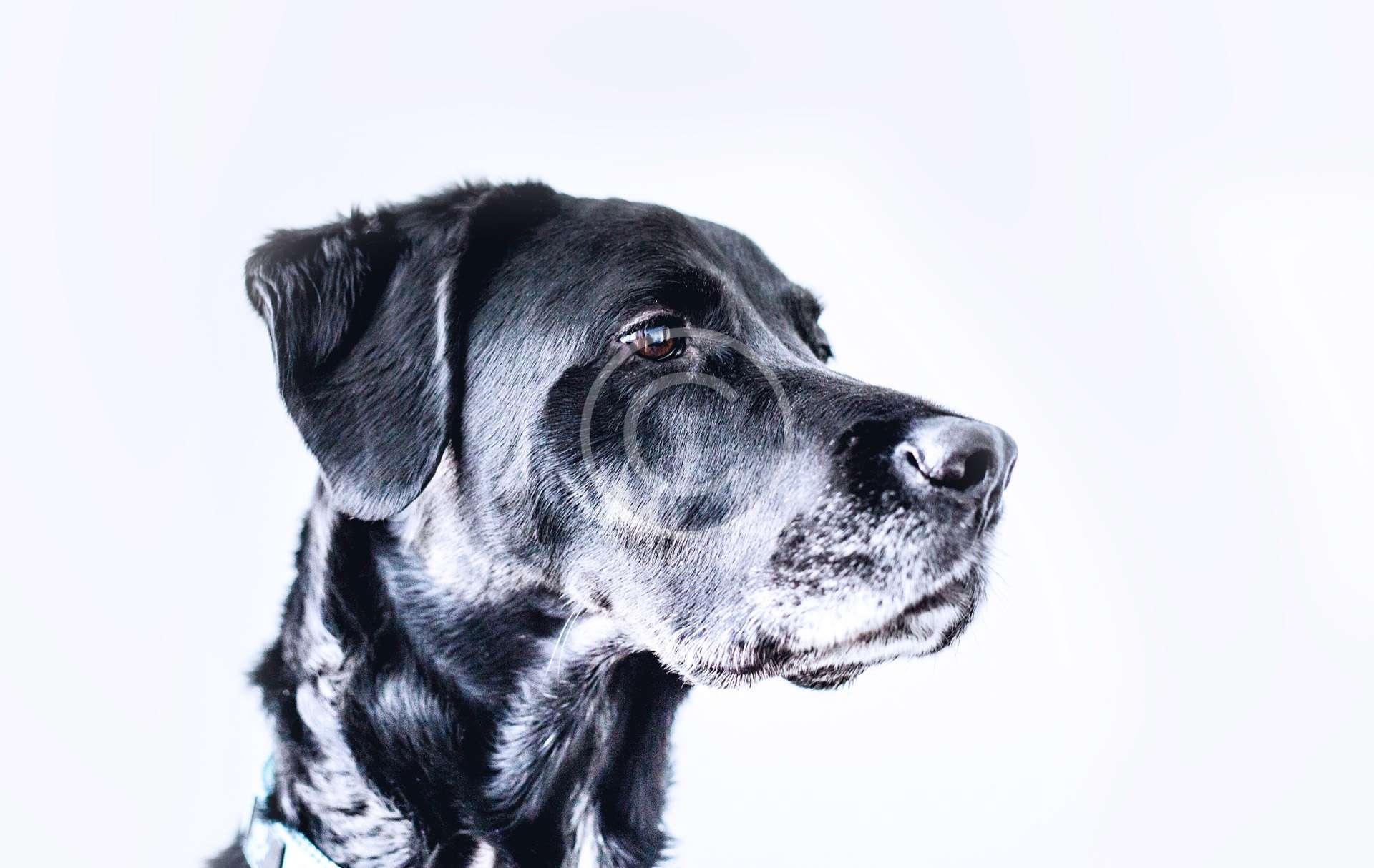 ken-reid-fUknnVKe3wA-unsplash